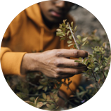 Điểm khác biệt của Nhang Thiền Vô Ưu 7 Điểm khác biệt của Nhang Thiền Vô Ưu 4