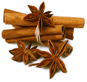 Đại hồi - quế - hita