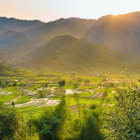 Nhang Thiền Vô Ưu 9